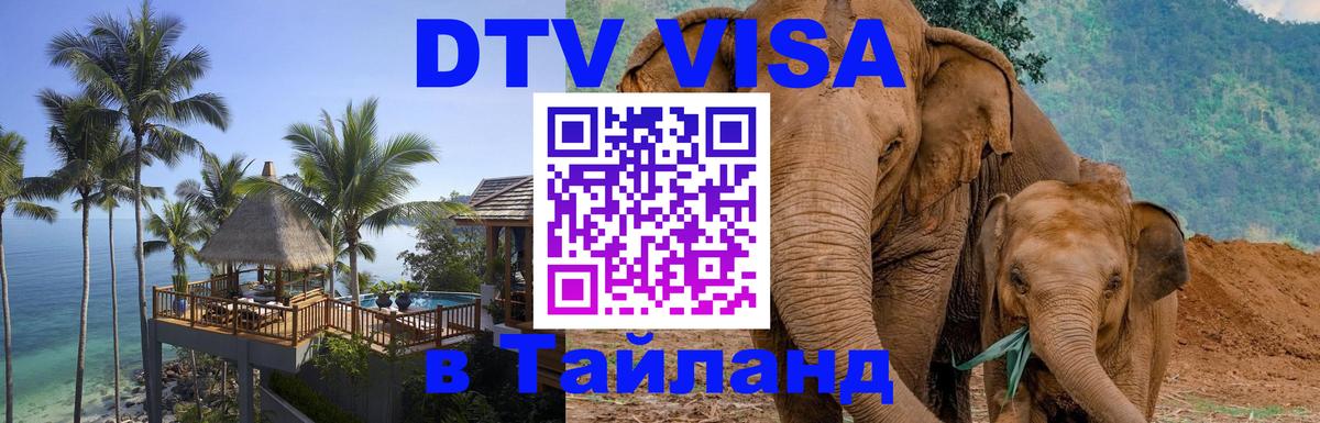 Оформление DTV визы под ключ: стоимость и тарифы, только загранпаспорт - Новочебоксарск 